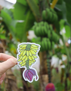 Banana Plant Sticker