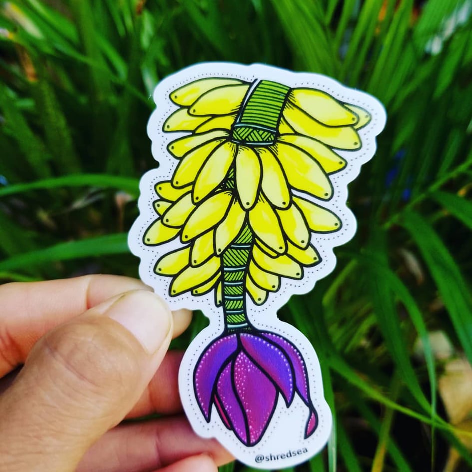 Banana Plant Sticker