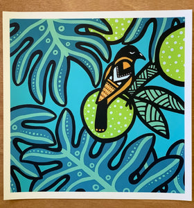 Breadfruit x Troupial