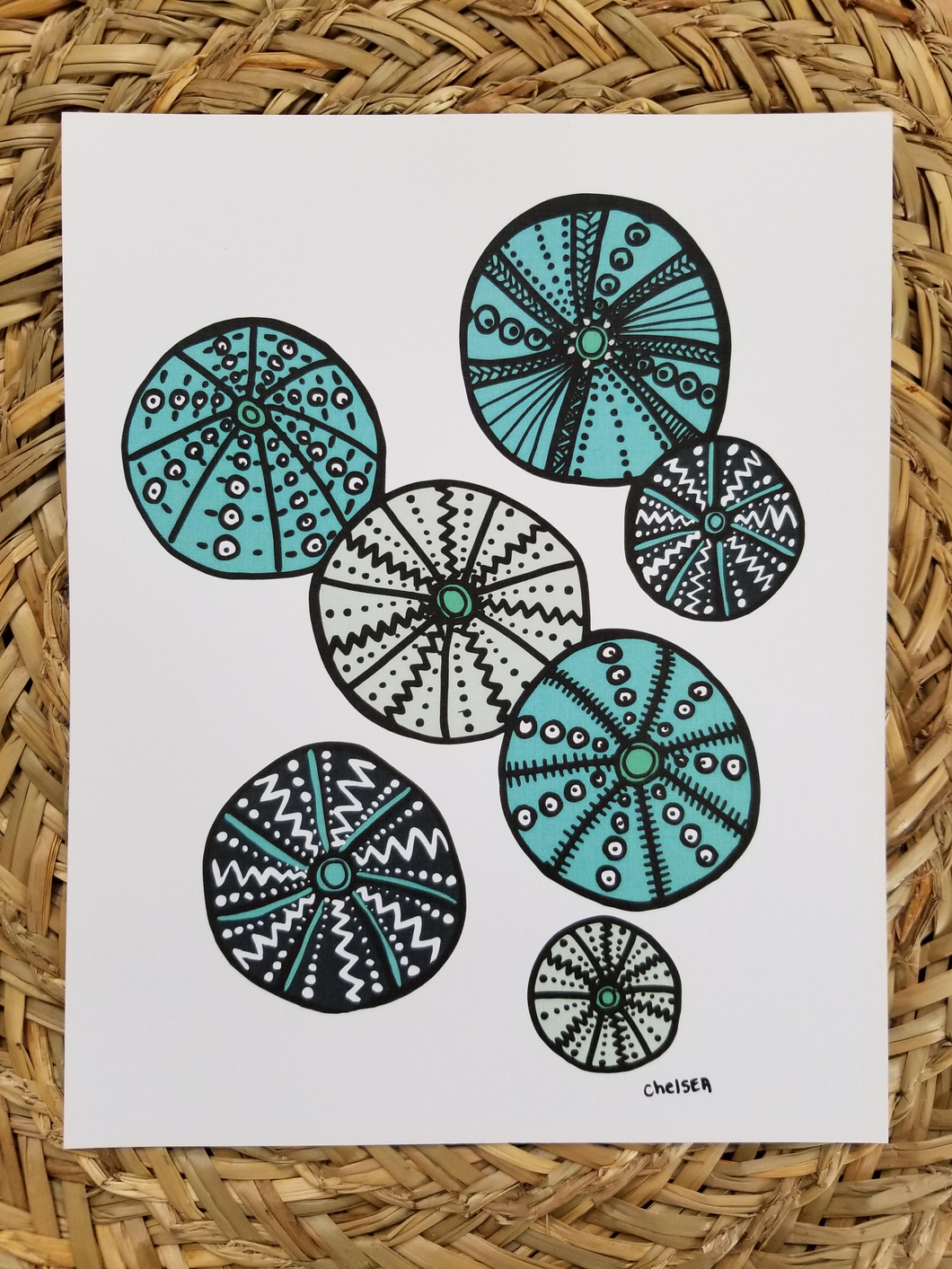 Sea Urchins